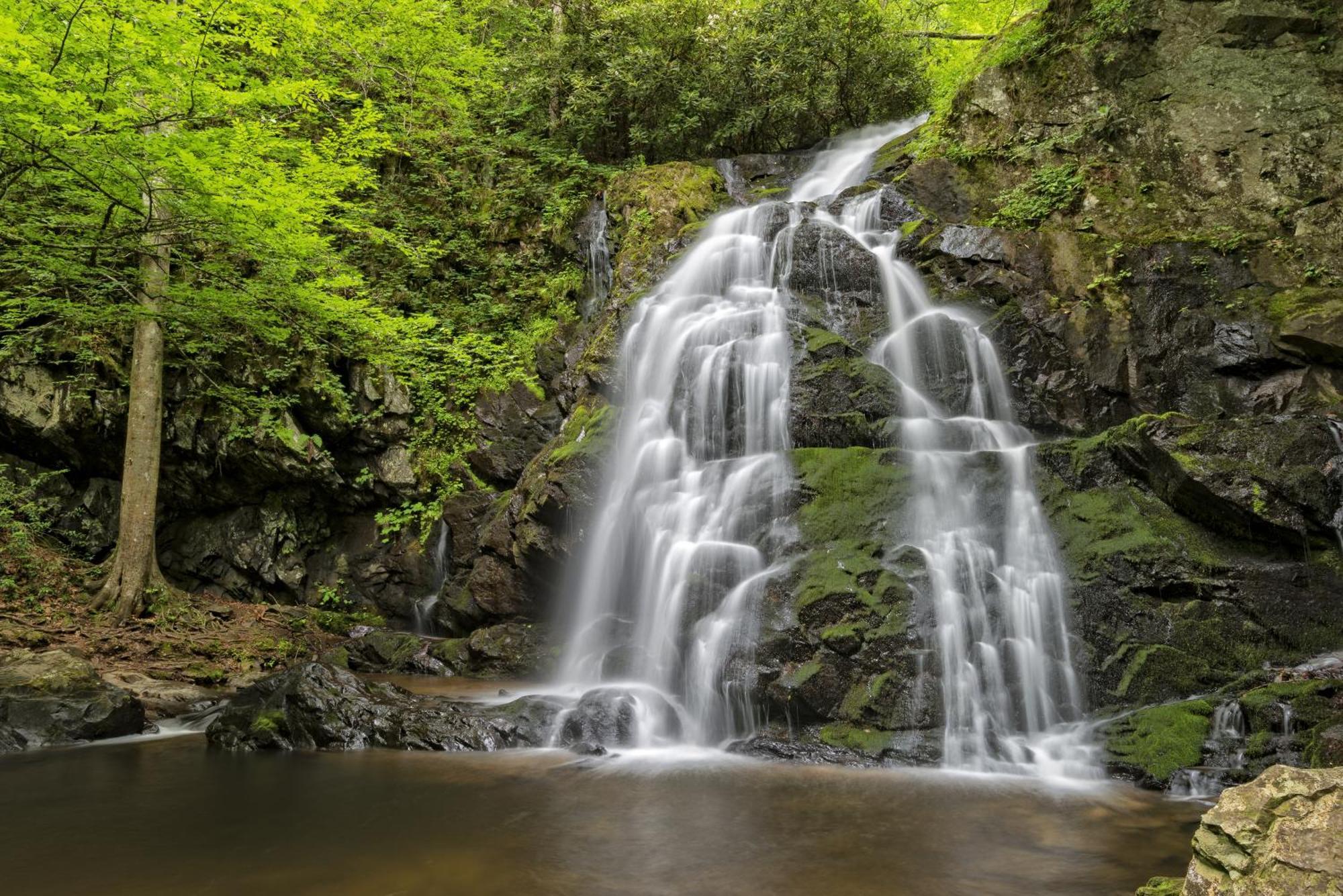 Whispering Winds, Hot Tub, Game Room, Wifi, 1089 Free Tickets Each Paid Day, Dollywood And More Gatlinburg Buitenkant foto